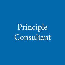 Principle Consultant
